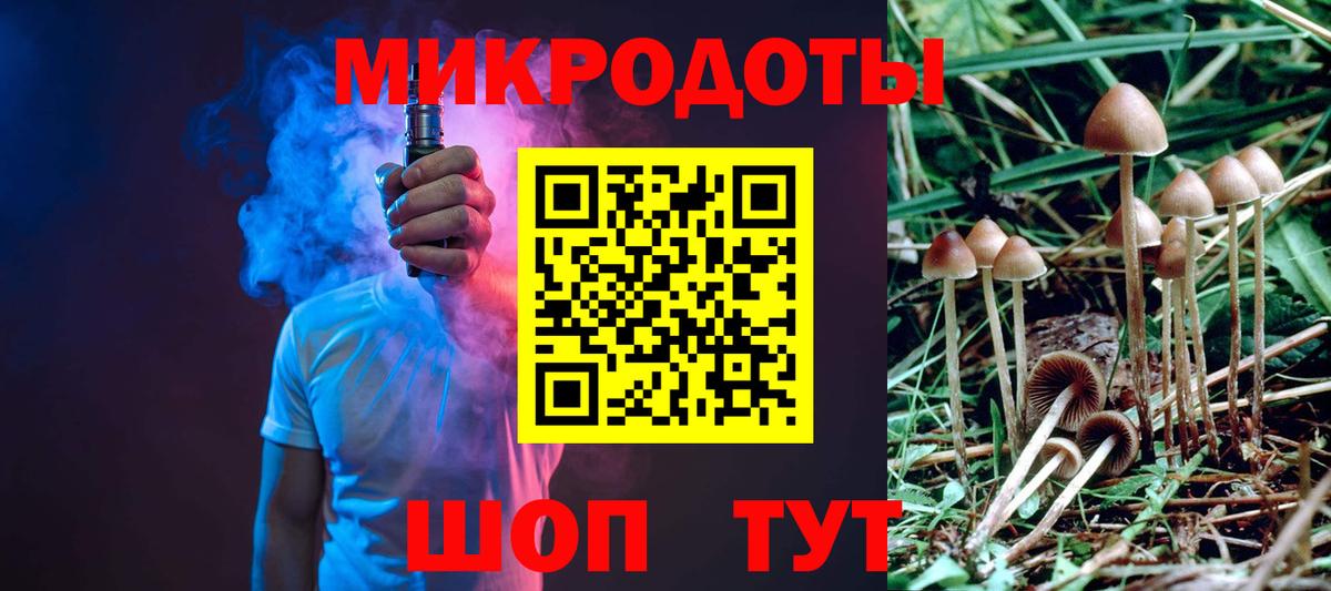 Псилоцибиновые грибы Psilocybine cubensis Лесосибирск