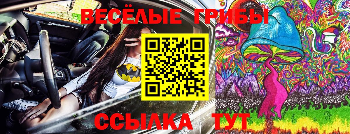 как найти   Псилоцибиновые грибы MAGIC MUSHROOMS  Вход с VPN  Лесосибирск 